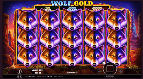 Wolf Gold
