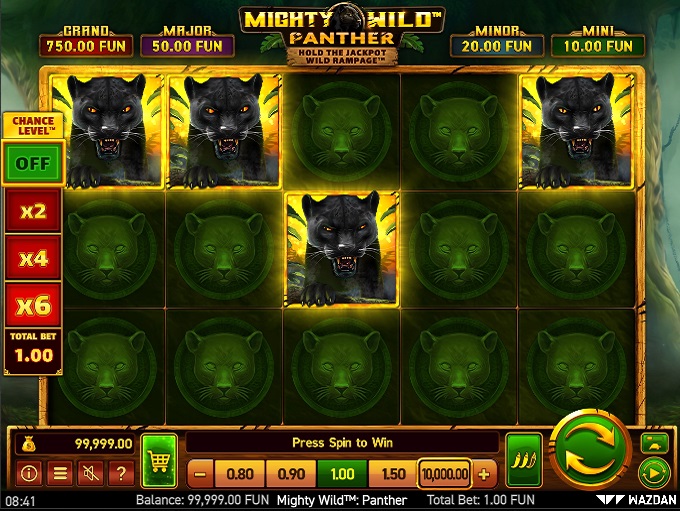 Mighty Wild Panther