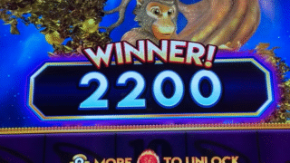 Slot Machine Hit Frequency