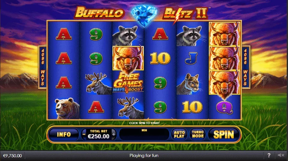 Buffalo Blitz II